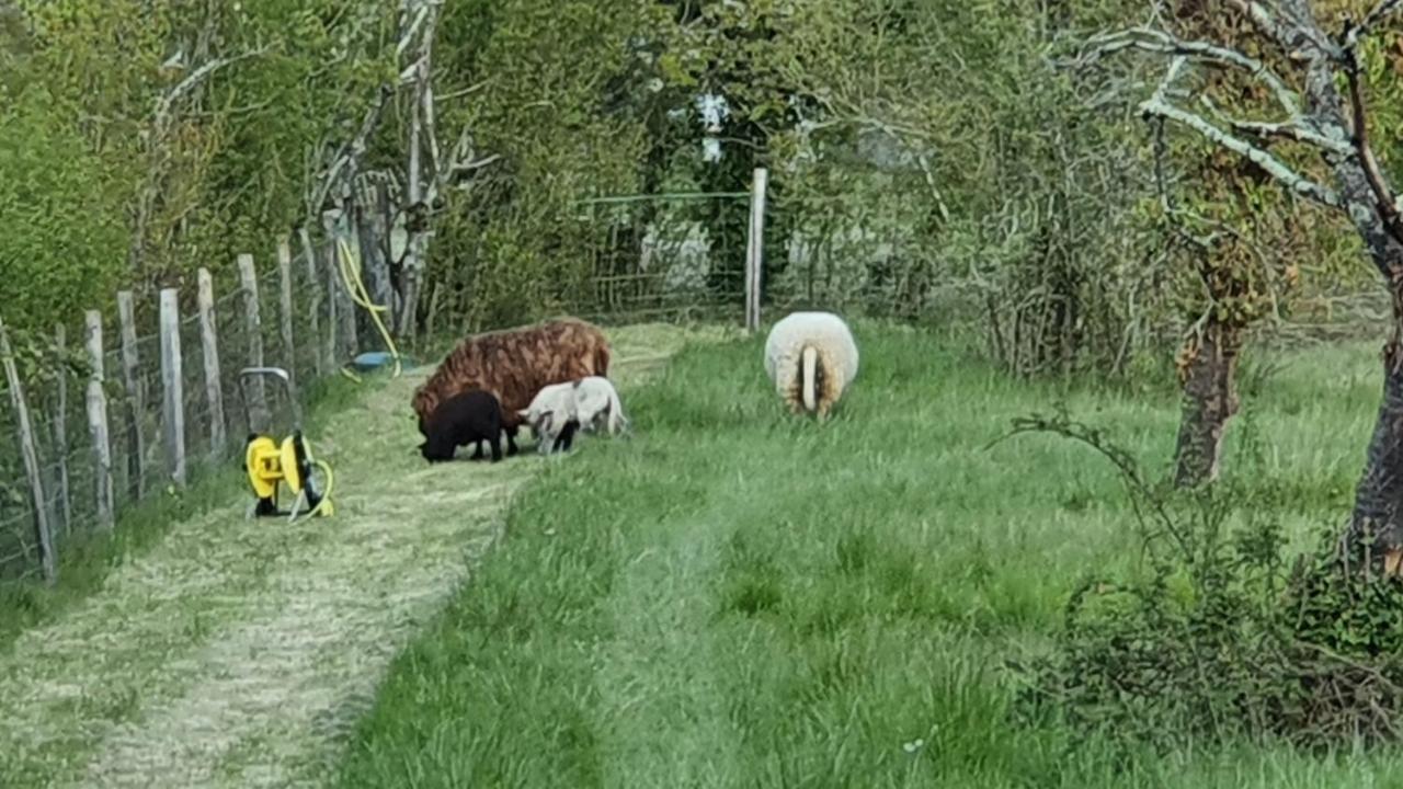 Grande Maison Avec Jardin, Animaux,Au Calme Yviers Eksteriør bilde