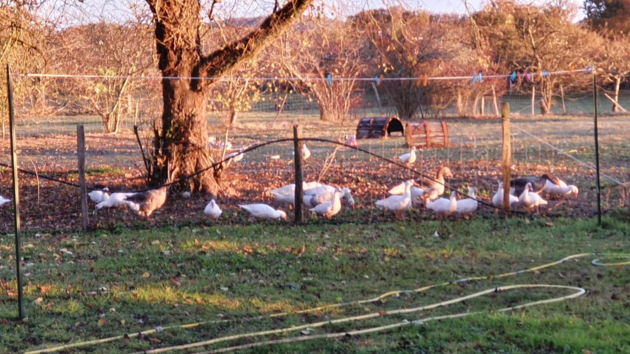 Grande Maison Avec Jardin, Animaux,Au Calme Yviers Eksteriør bilde